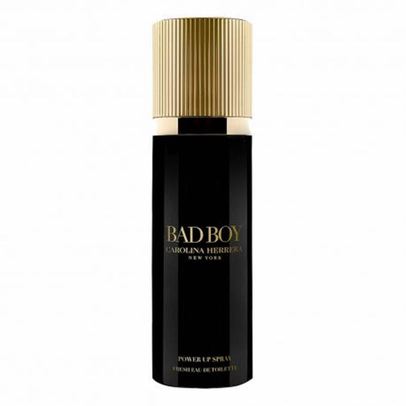 Carolina-Herrera-Bad-Boy-Power-EDT-100-ml---1