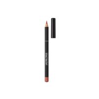 Rimmel Lapiz Delineador De Labios Lasting Finish 8hs Lip Liner 110 Spice 1.2 gr