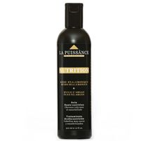 La Puissance Tratamiento De Alta Nutrición Con Aceite De Argan Y Acido Hialuronico 300 ml