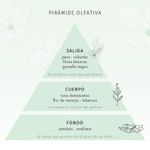 PIRAMIDE OLFATIVA