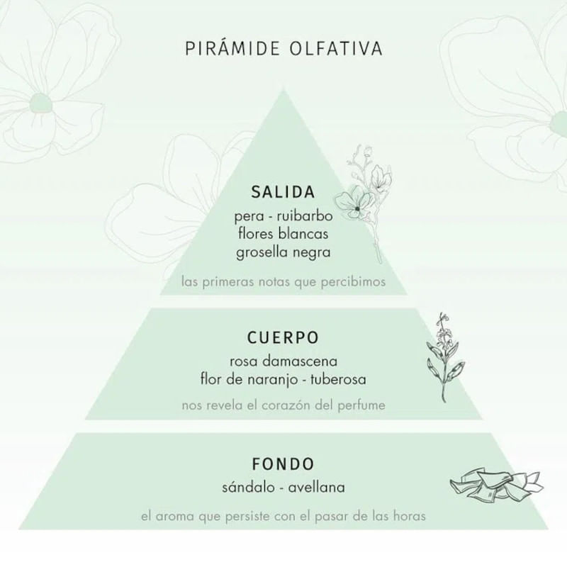 PIRAMIDE OLFATIVA