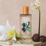 Productos-Individuales