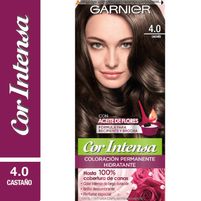 Garnier Coloración Intensa 4.0