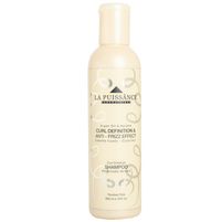 La Puissance Shampoo Curl Definition & Anti - Frizz Effect Argan Oil & Keratin 300 ml