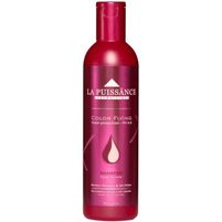 La Puissance Shampoo Fijador De Color Fixing 300 ml