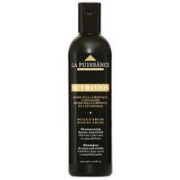 La Puissance Shampoo Nutrition Óleo De Argán 300 ml