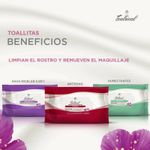 Teatrical-Toallitas-Desmaquillantes-Micelares-5-En-1---40-Unidades