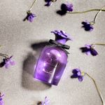 Dolce---Gabbana-Violet-EDT-75-ml