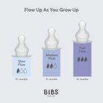 Bibs-Kit-De-2-Tetinas-De-Silicona---Flujo-Medio