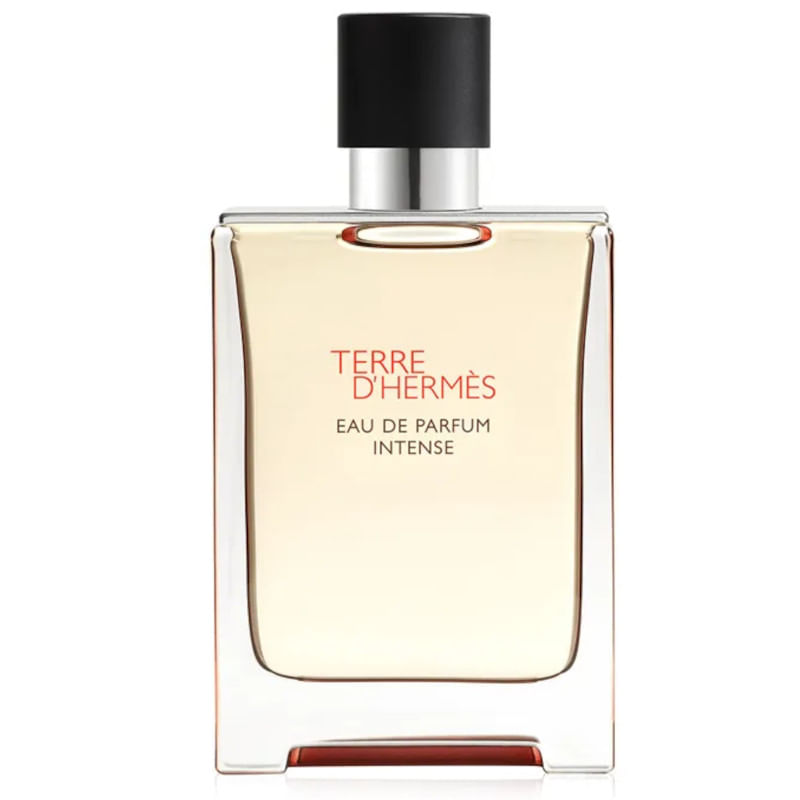 Hermes-Terre-D-Hermes-EDP-Intense-100-ml---Recargable