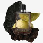 Hermes-Terre-D-Hermes-EDP-Intense-100-ml---Recargable